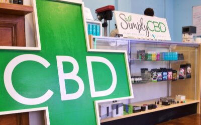 What to Look for When Choosing a CBD Store